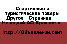 Спортивные и туристические товары Другое - Страница 2 . Ненецкий АО,Красное п.